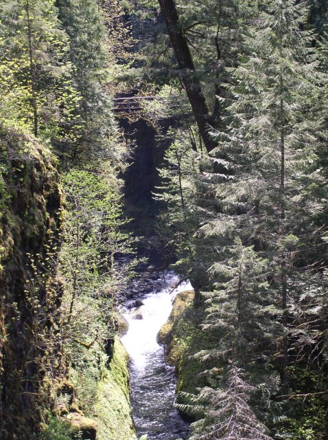 5.5.06 Eagle Creek 047 